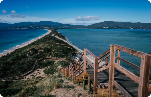 A scenic view of a coastal path leading to a sandy beach, surrounded by lush greenery and blue waters under a clear sky