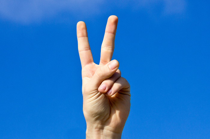 Partnering with participants – Q2 Partnering with participants – Q2