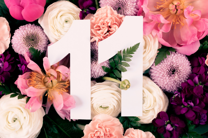 The number eleven, with flowers in the background.