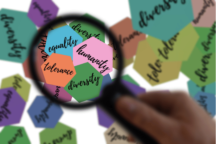 A magnifying glass highlighting colourful shapes that read 'equality, humanity, tolerance and diversity'.